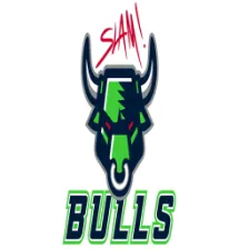 Sports Leadership & Management High School logo