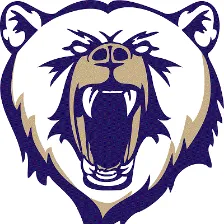 Spring Valley High School logo