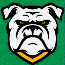 Suwannee High School logo