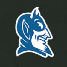 Tilden High School logo