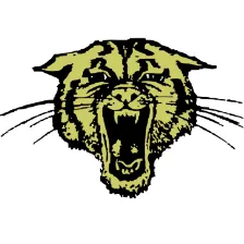 Trumann High School logo