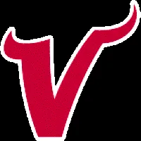Valley High School logo