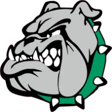 Virgin Valley High School logo