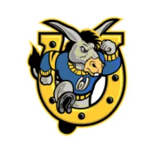 Wilson High School logo