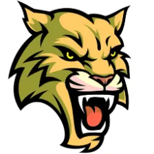 Wood High School logo